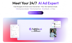 dsGo.ai但愿能沉塑营销公允 